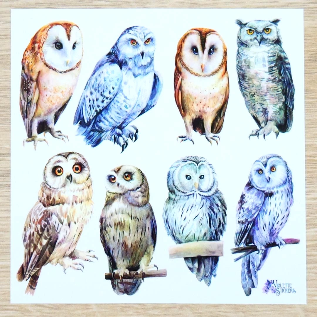 Real Owl Stickers - 2 Sticker Sheets for Stationary, Scrapbooking, & More