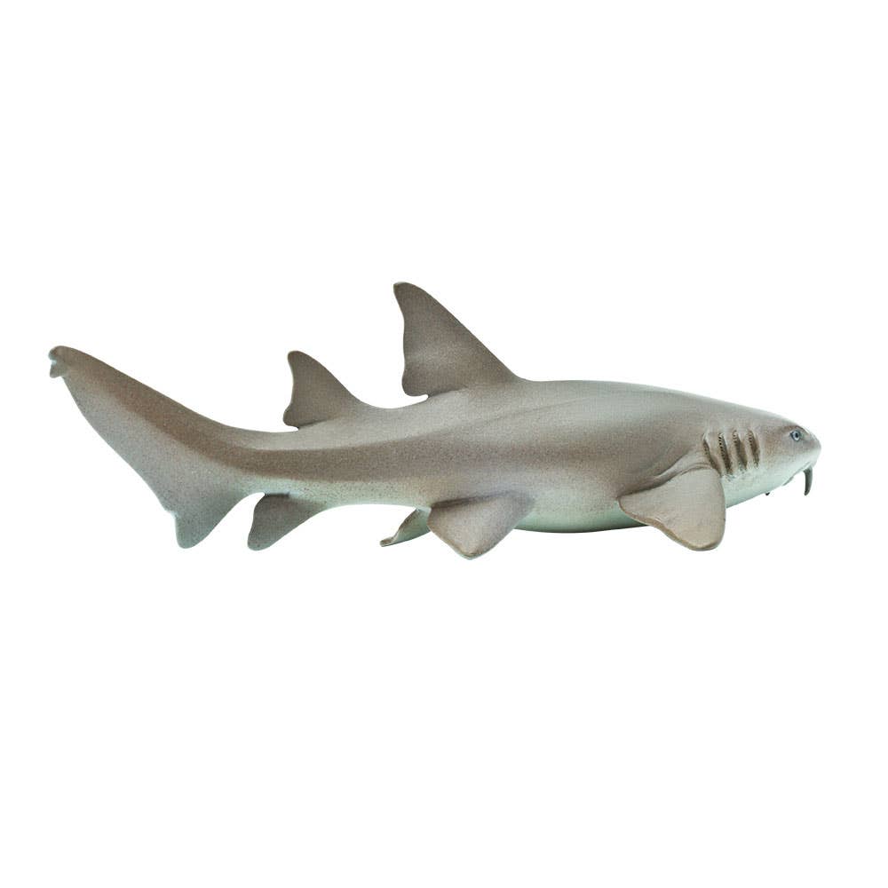 Nurse Shark Sea Life Figure - Hand Painted & Collectible Toy - Safari Ltd 200629