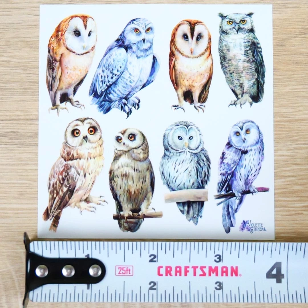 Real Owl Stickers - 2 Sticker Sheets for Stationary, Scrapbooking, & More