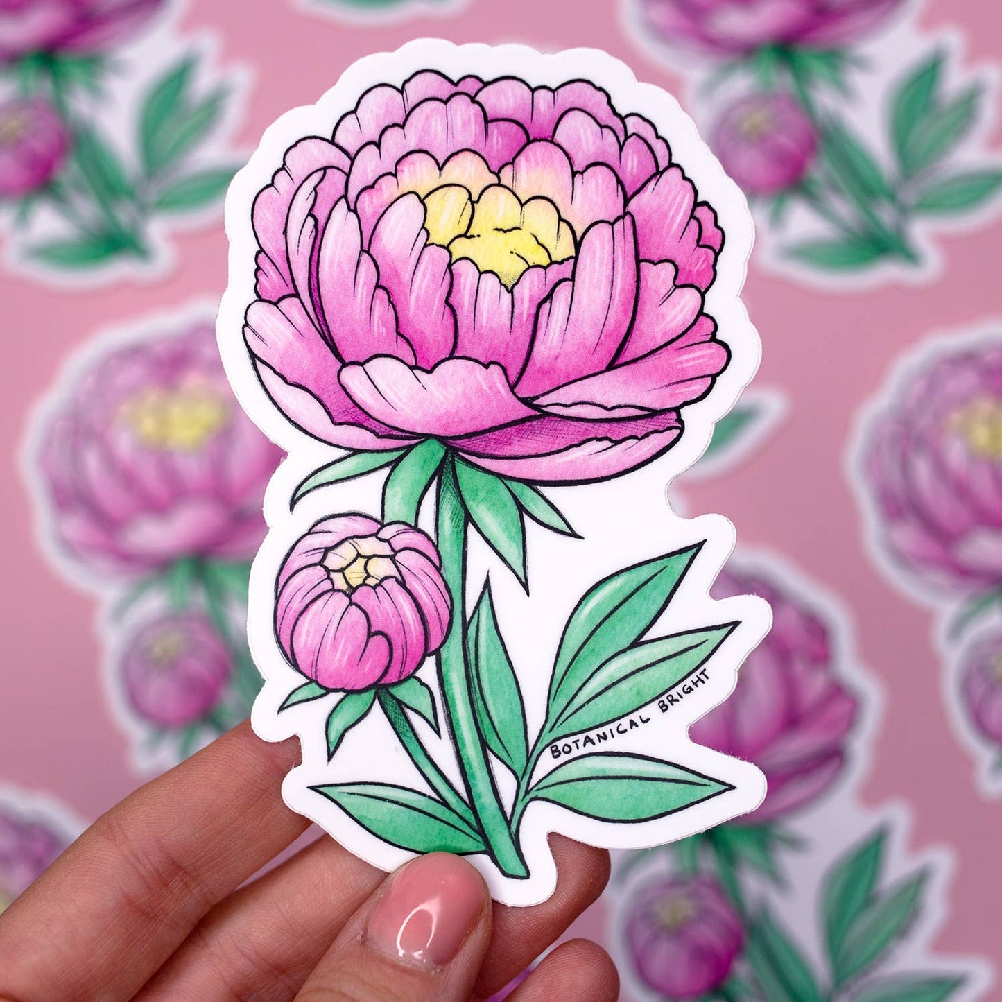 Peony Sticker - Indiana State Flower - Waterproof Vinyl