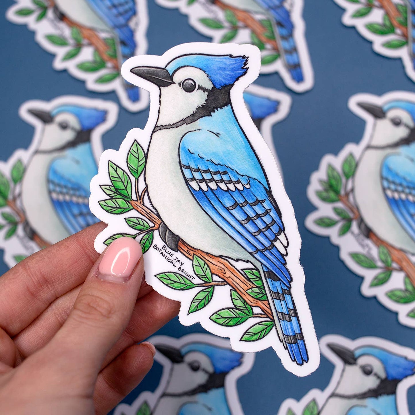 Blue Jay Bird Sticker - Waterproof Vinyl