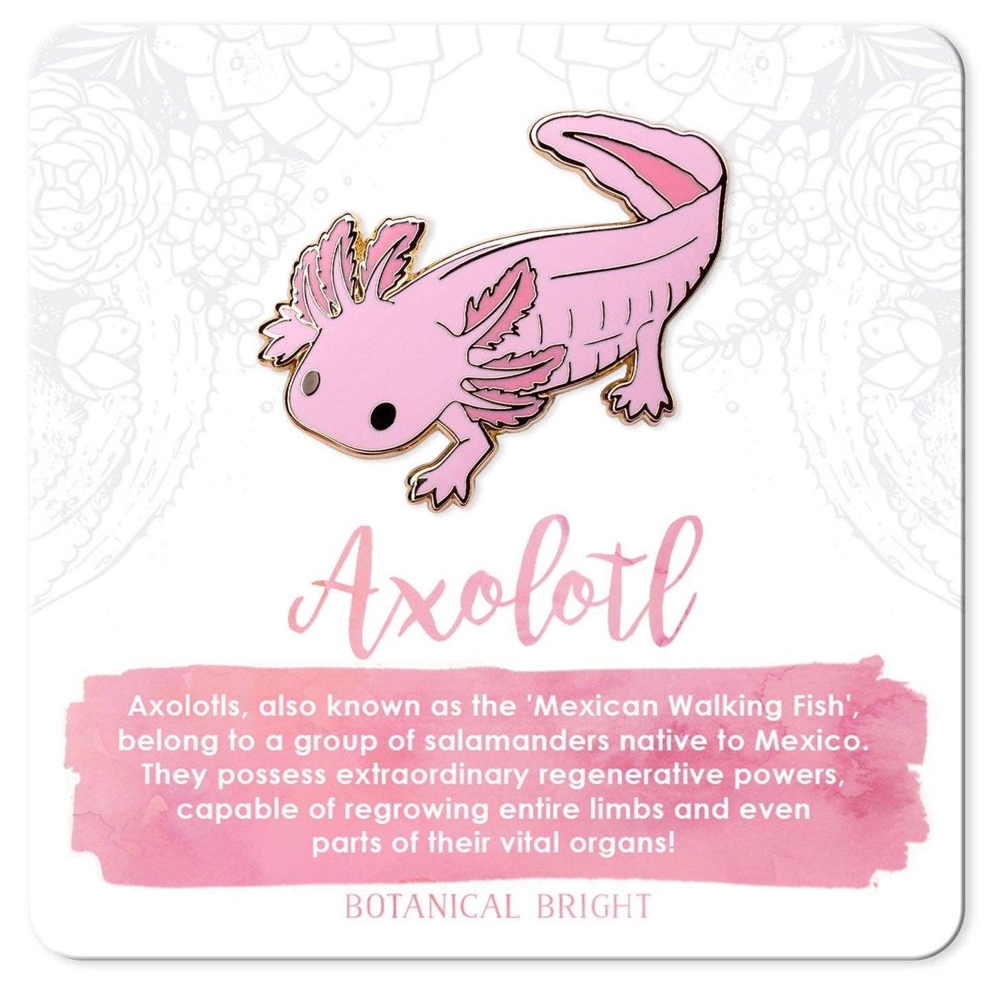 Axolotl Enamel Pin - Gold Plated Base
