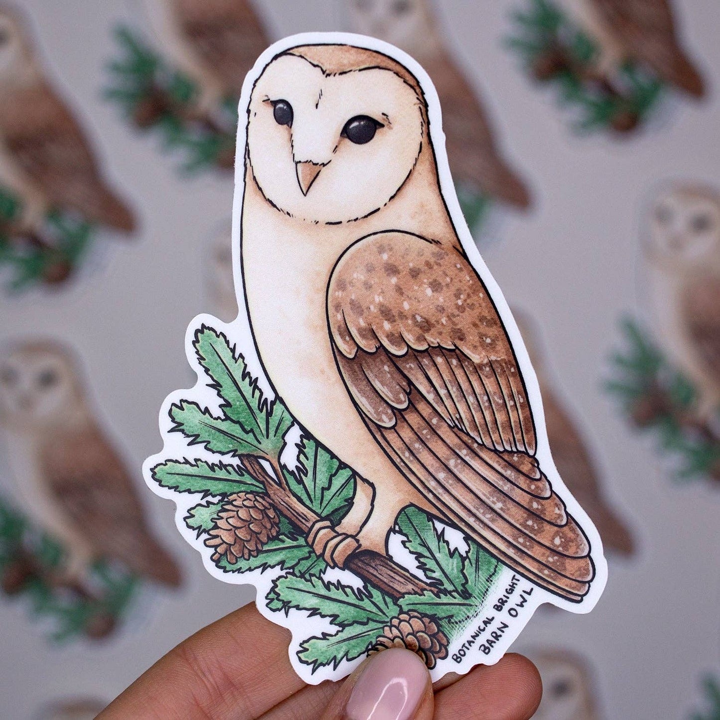 Barn Owl Sticker - Waterproof Vinyl