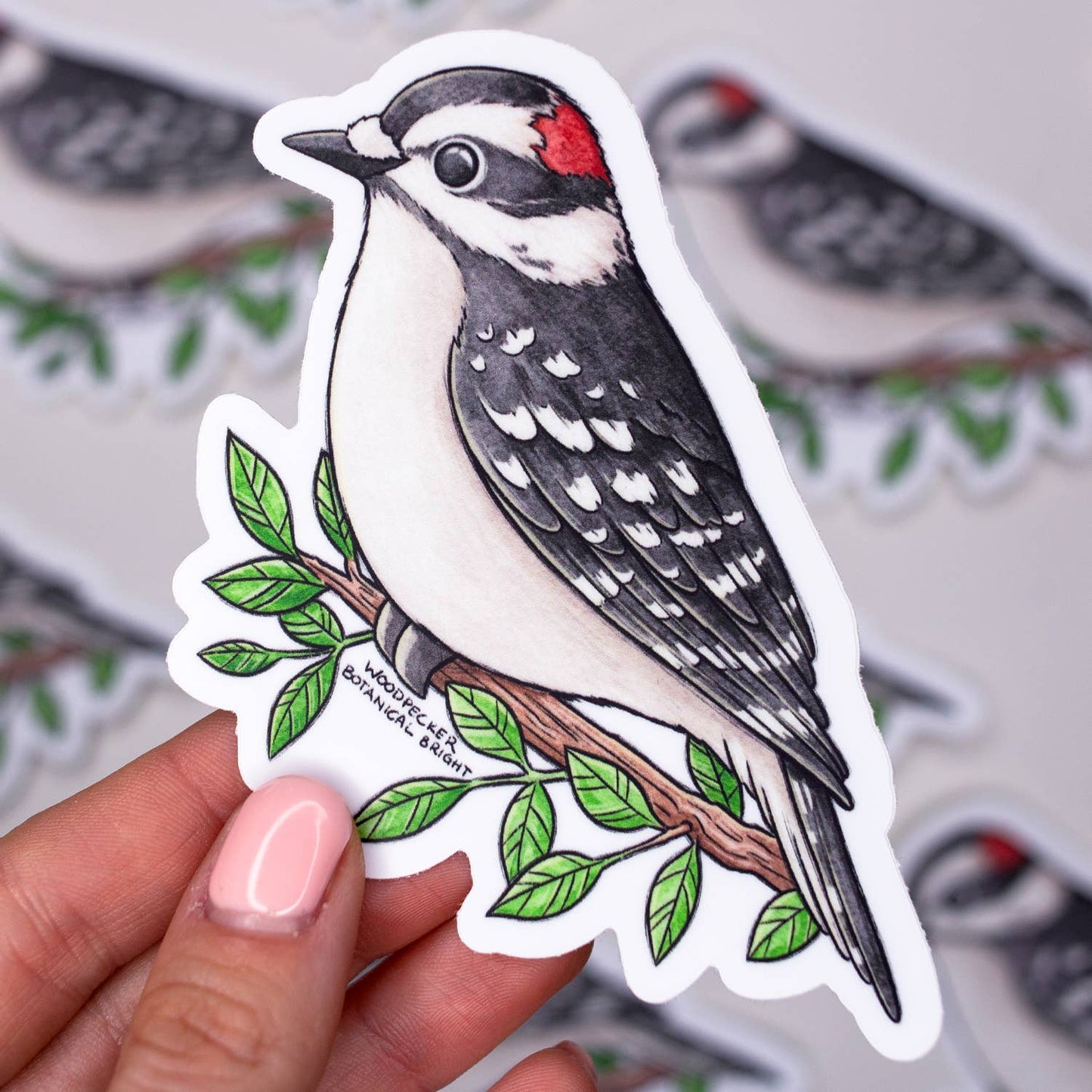 Downy Woodpecker Bird Sticker - Waterproof Vinyl