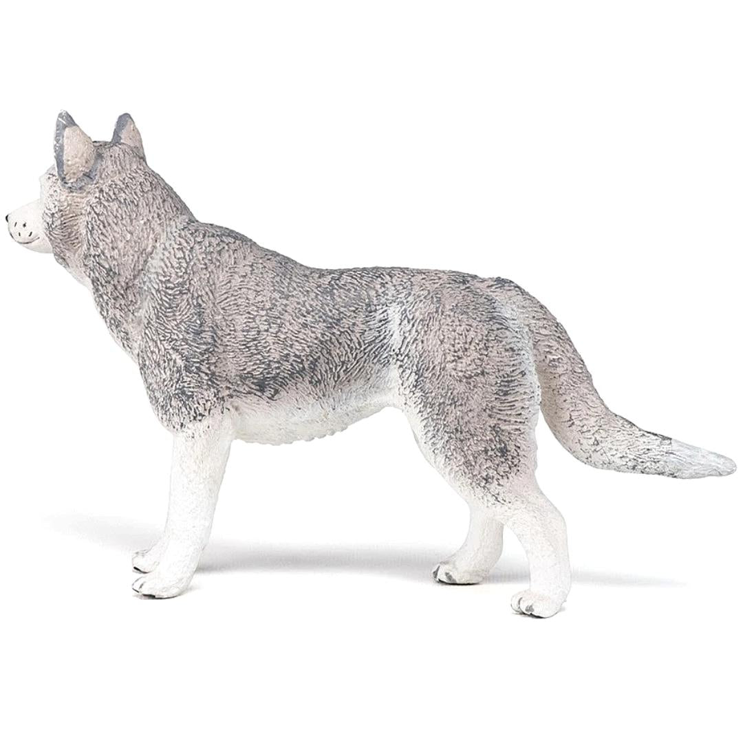 Siberian Husky Dog Figure - Hand Painted & Collectible Toy - Papo 54035
