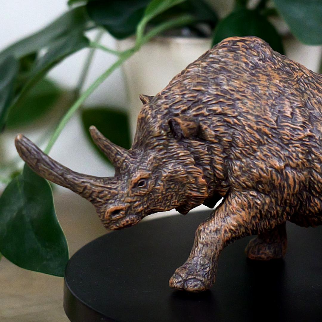 Woolly Rhinoceros Prehistoric Figure - Hand Painted & Collectible Toy - Papo 55031