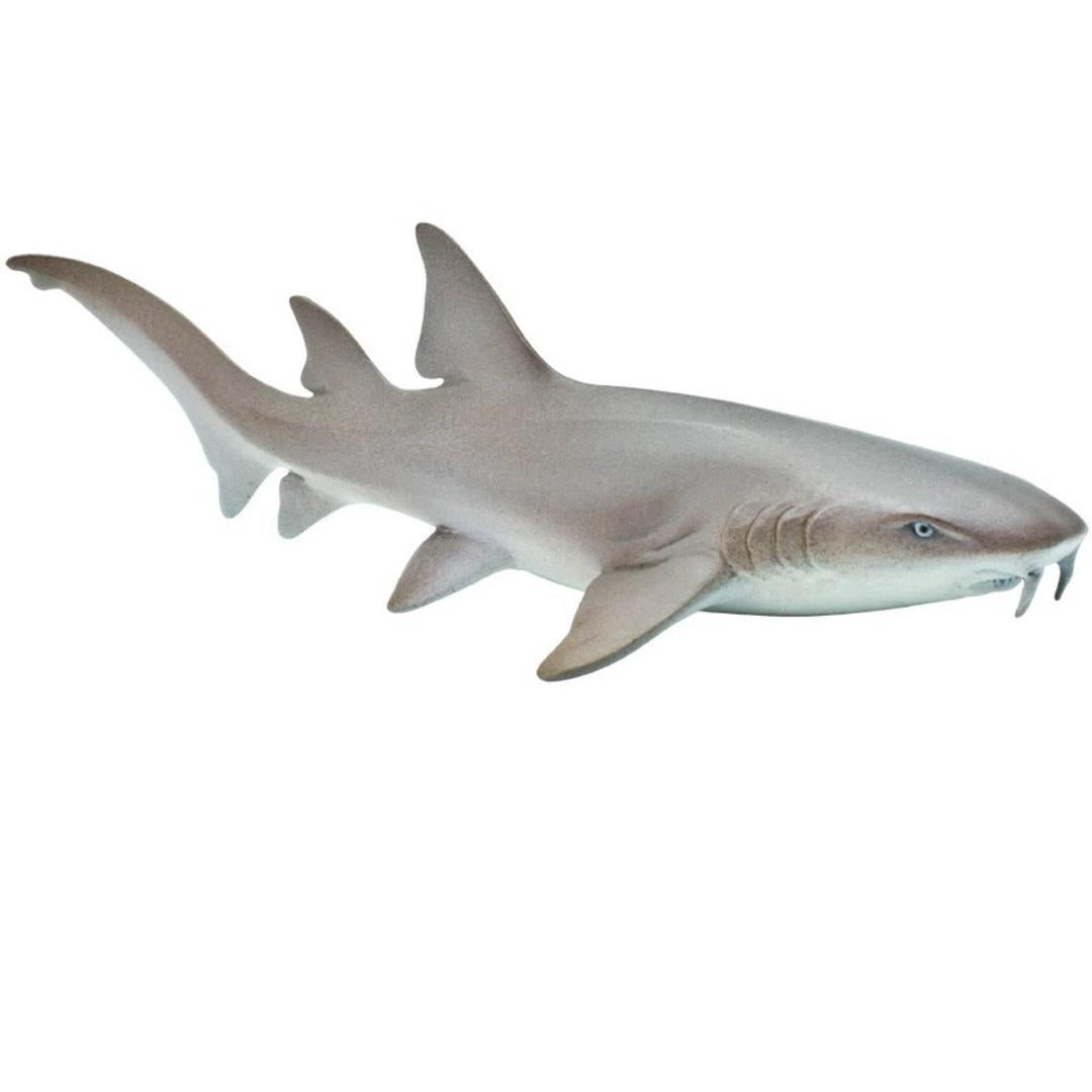 Nurse Shark Sea Life Figure - Hand Painted & Collectible Toy - Safari Ltd 200629