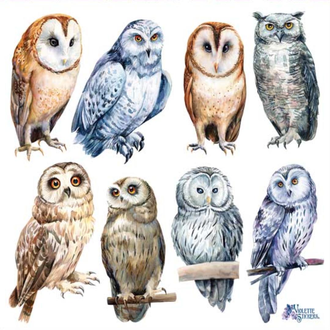 Real Owl Stickers - 2 Sticker Sheets for Stationary, Scrapbooking, & More