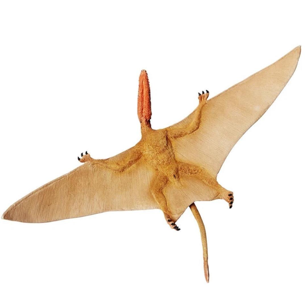 Dimorphodon Dinosaur Figure - Hand Painted & Collectible Toy - Safari Ltd 304729