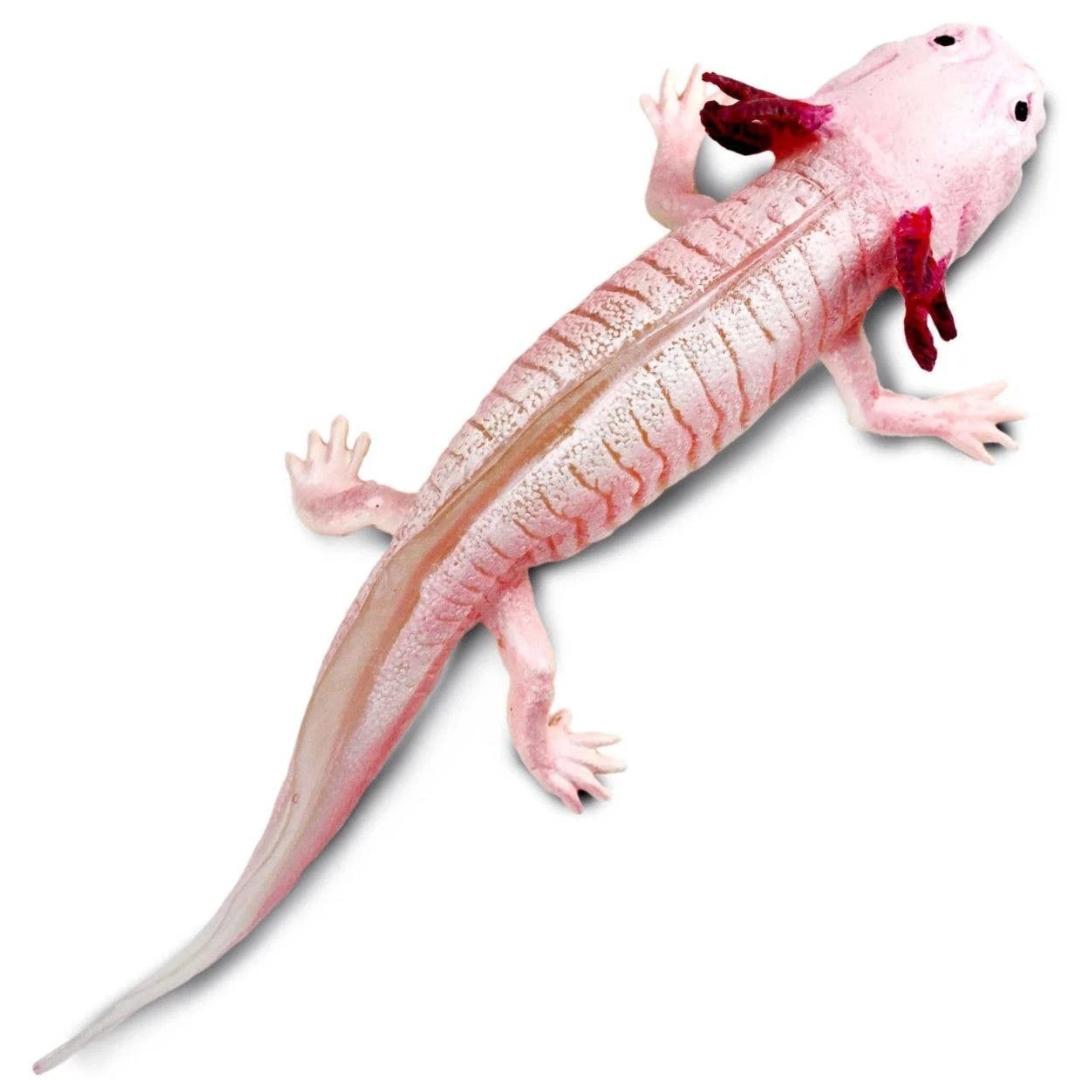 Axolotl Figurine - Hand Painted & Collectible Toy - Safari Ltd 104650