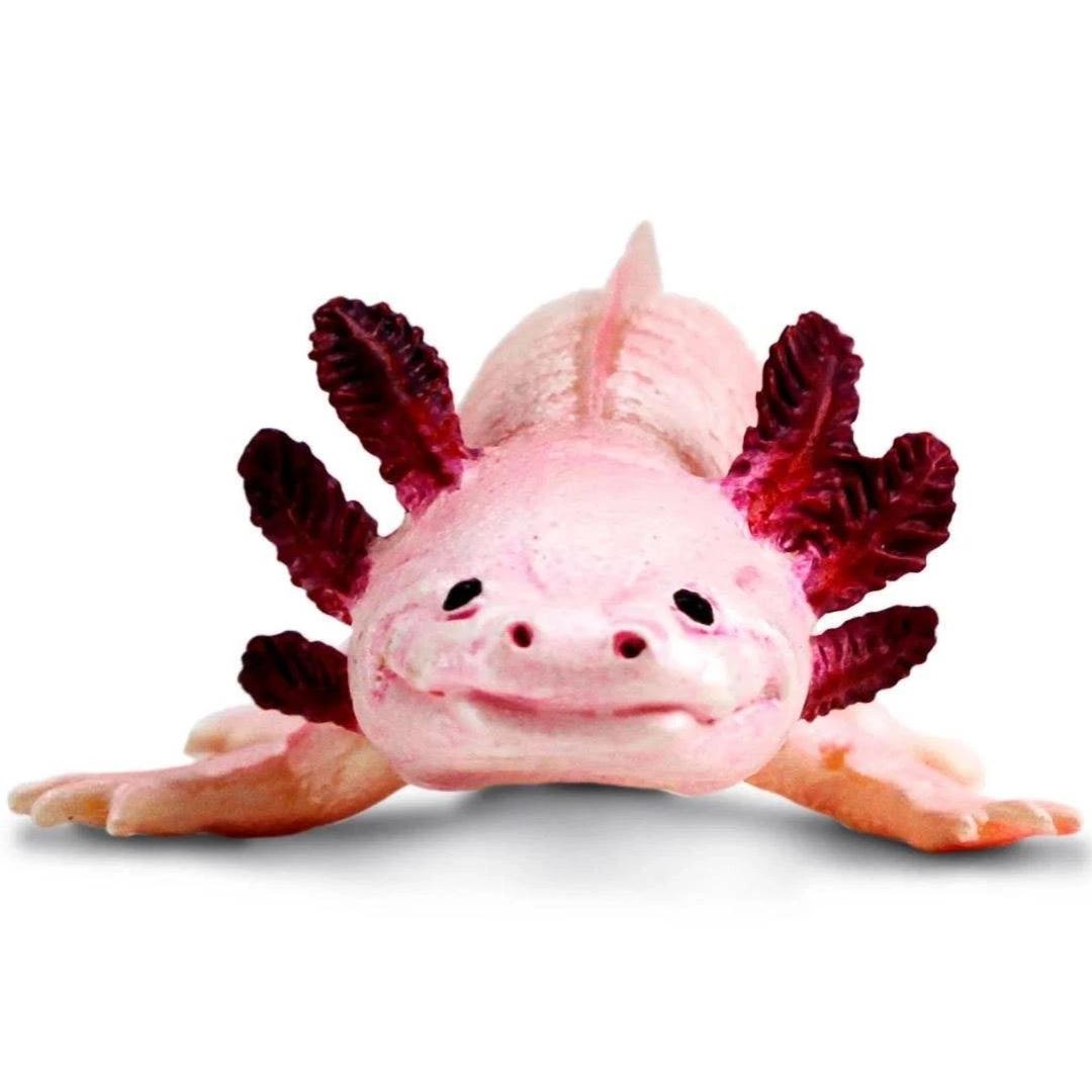 Axolotl Figurine - Hand Painted & Collectible Toy - Safari Ltd 104650