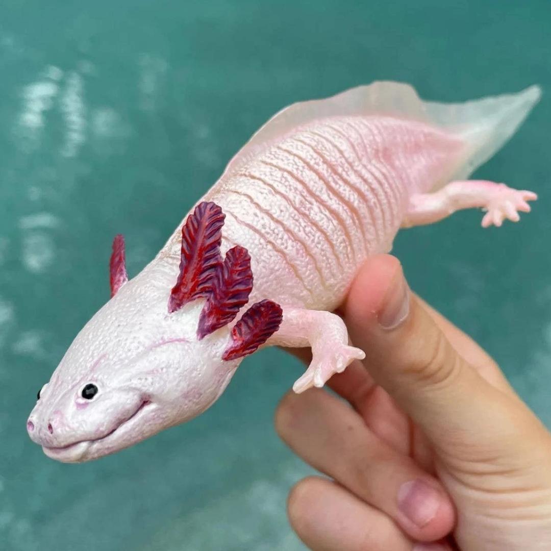 Axolotl Figurine - Hand Painted & Collectible Toy - Safari Ltd 104650