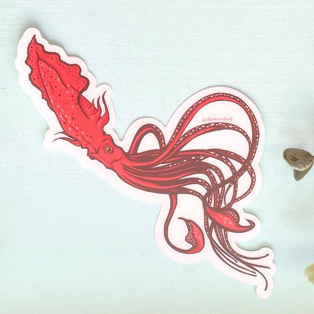 Giant Squid Sea Life Sticker - Large Clear Vinyl Decal