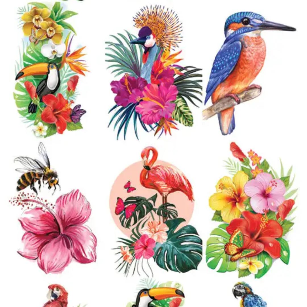 Hawaiian Bird Stickers - 2 Sticker Sheets for Stationary, Scrapbooking, & More