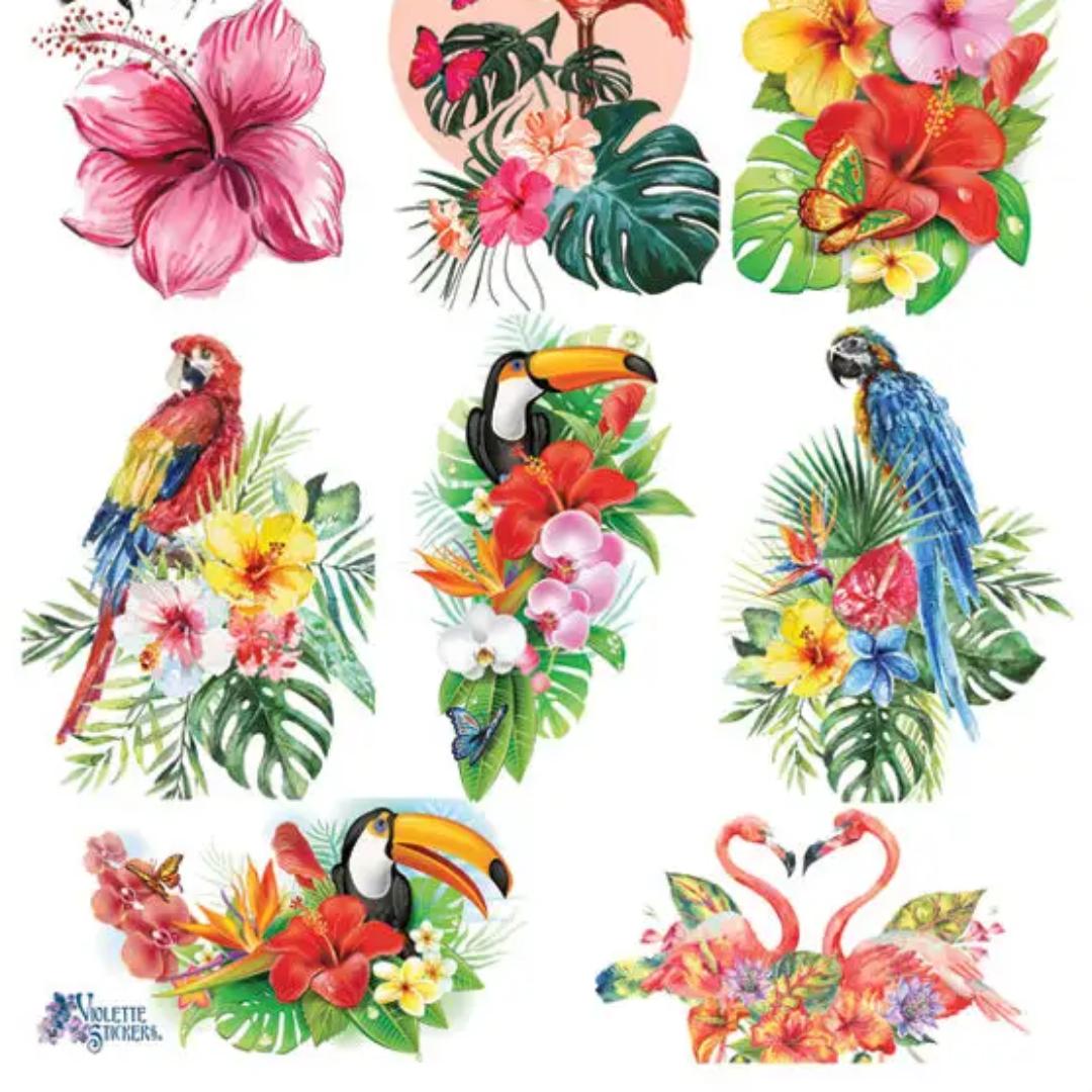 Hawaiian Bird Stickers - 2 Sticker Sheets for Stationary, Scrapbooking, & More