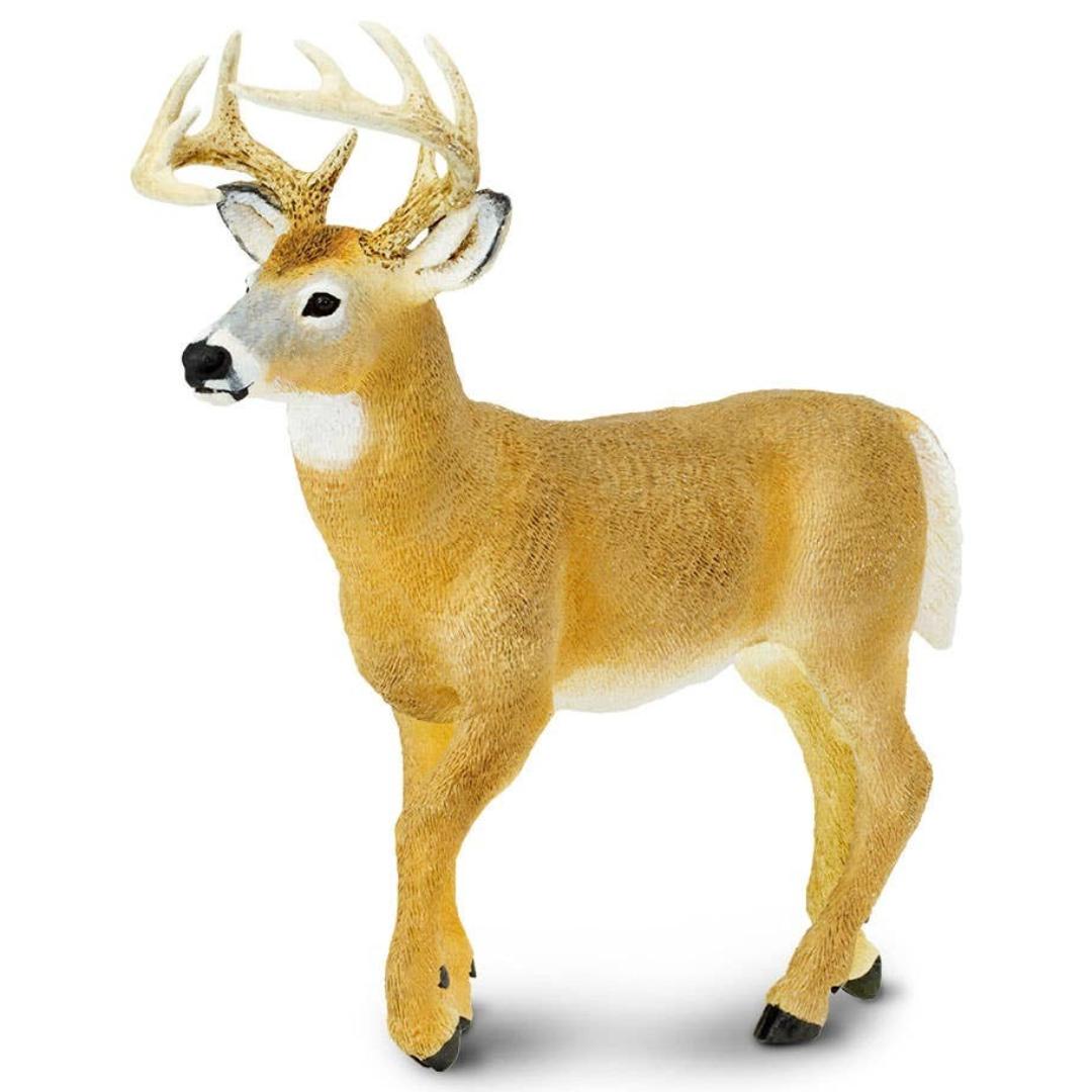 Whitetail Buck 6 inch Figure - Hand Painted & Collectible Toy - Safari Ltd 113589