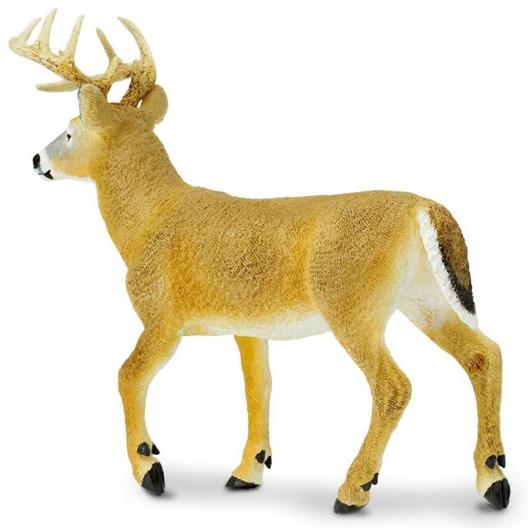 Whitetail Buck 6 inch Figure - Hand Painted & Collectible Toy - Safari Ltd 113589
