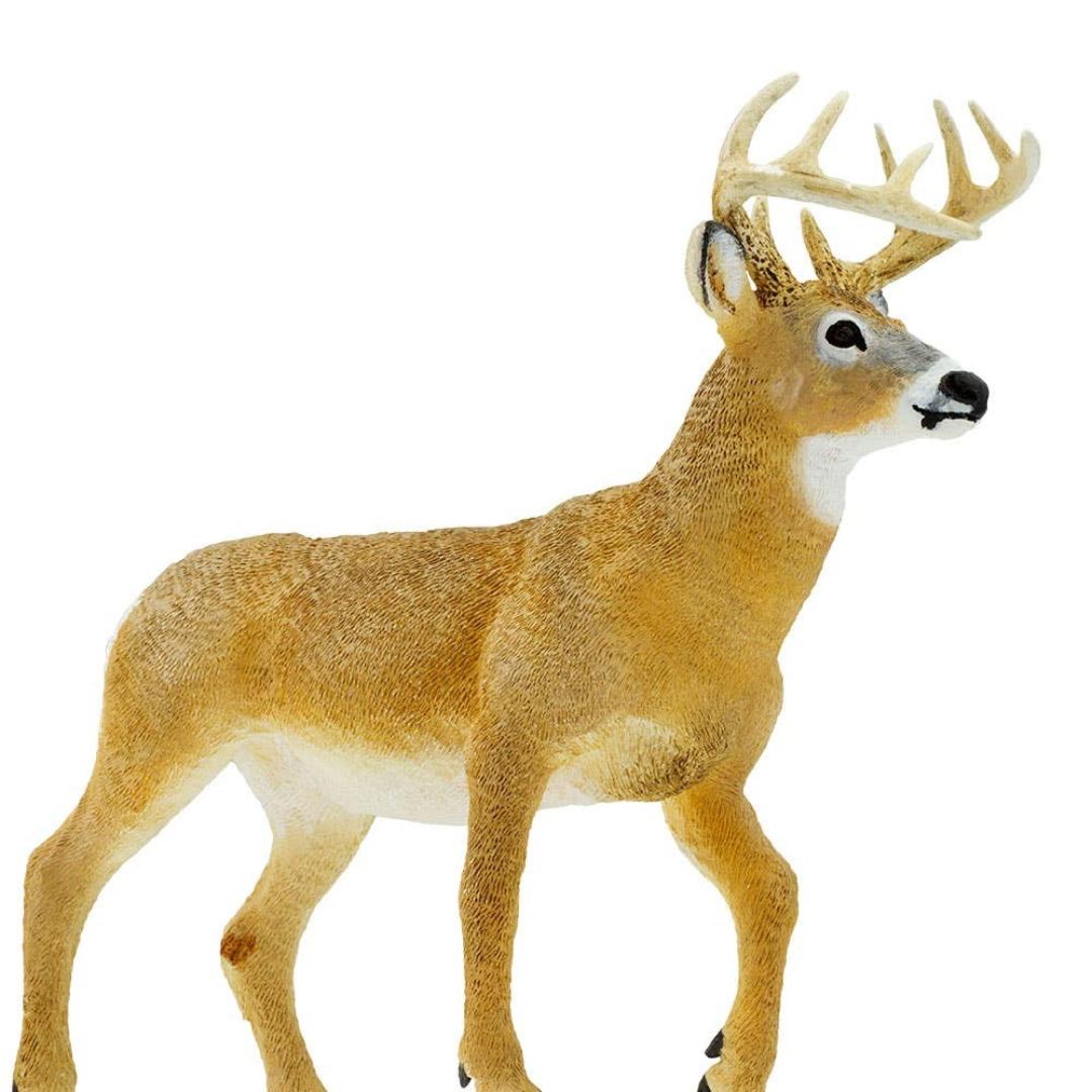 Whitetail Buck 6 inch Figure - Hand Painted & Collectible Toy - Safari Ltd 113589