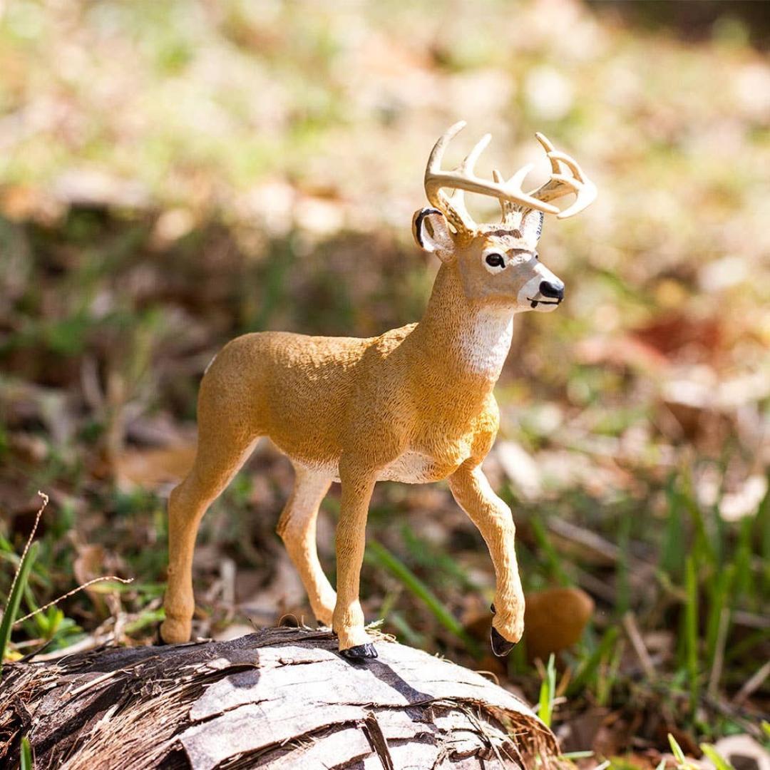 Whitetail Buck 6 inch Figure - Hand Painted & Collectible Toy - Safari Ltd 113589