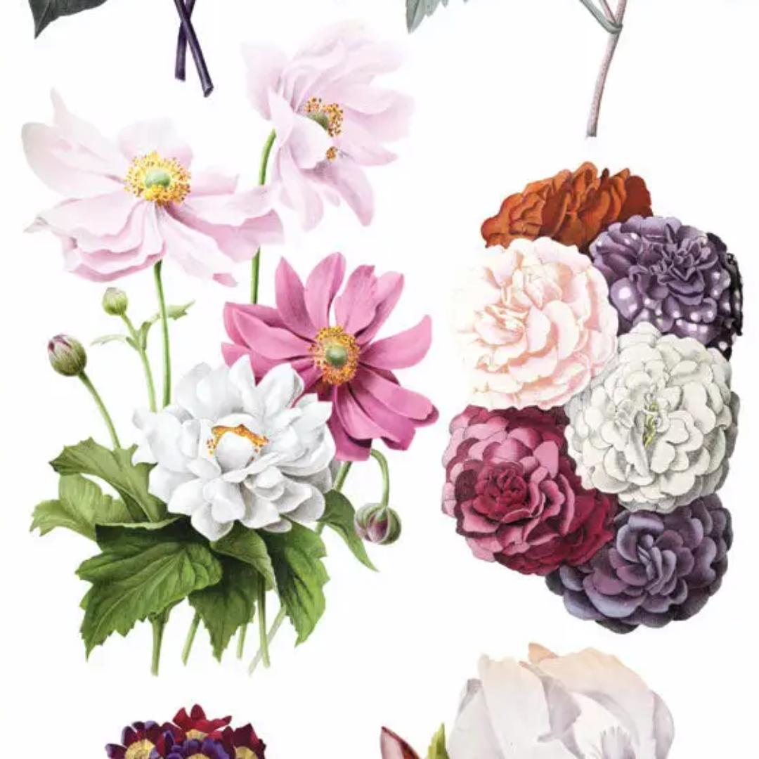 Hepburn Floral Stickers - 2 Sticker Sheets for Stationary, Scrapbooking, & More
