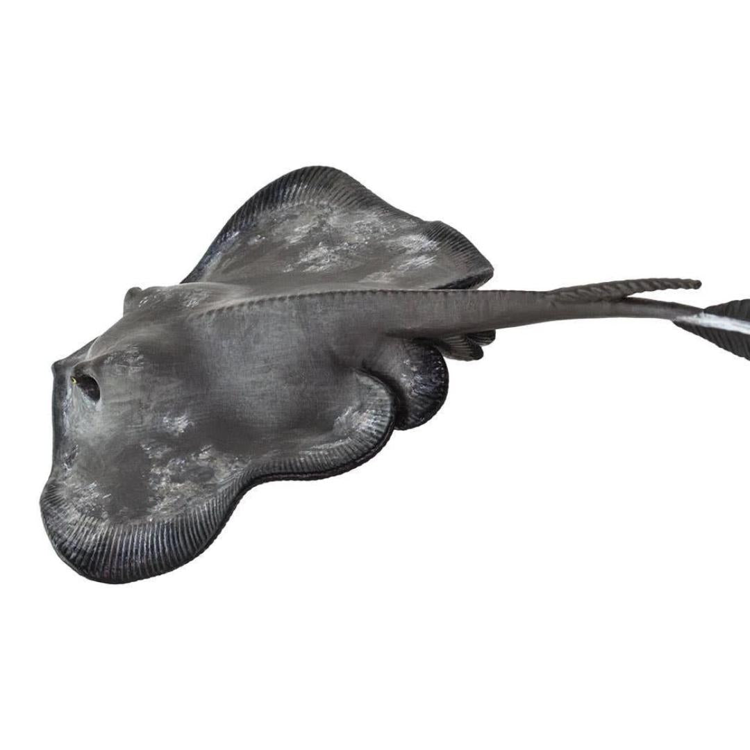 Sting Ray Figure - Hand Painted & Collectible Toy - Safari Ltd 100507