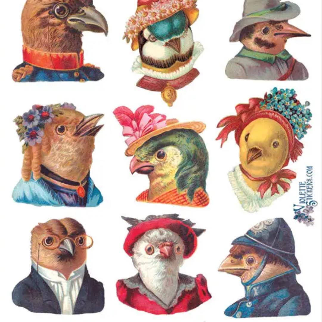 Chatty Bird Stickers - 2 Sticker Sheets for Stationary, Scrapbooking, & More