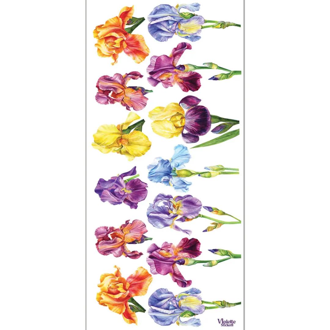 Iris Colorful Flower Stickers - 2 Sticker Sheets for Stationary, Scrapbooking, & More