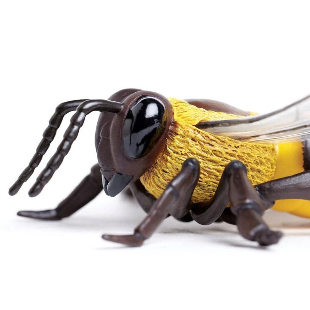 Honey Bee Figure - Hand Painted & Collectible Toy - Safari Ltd 268229