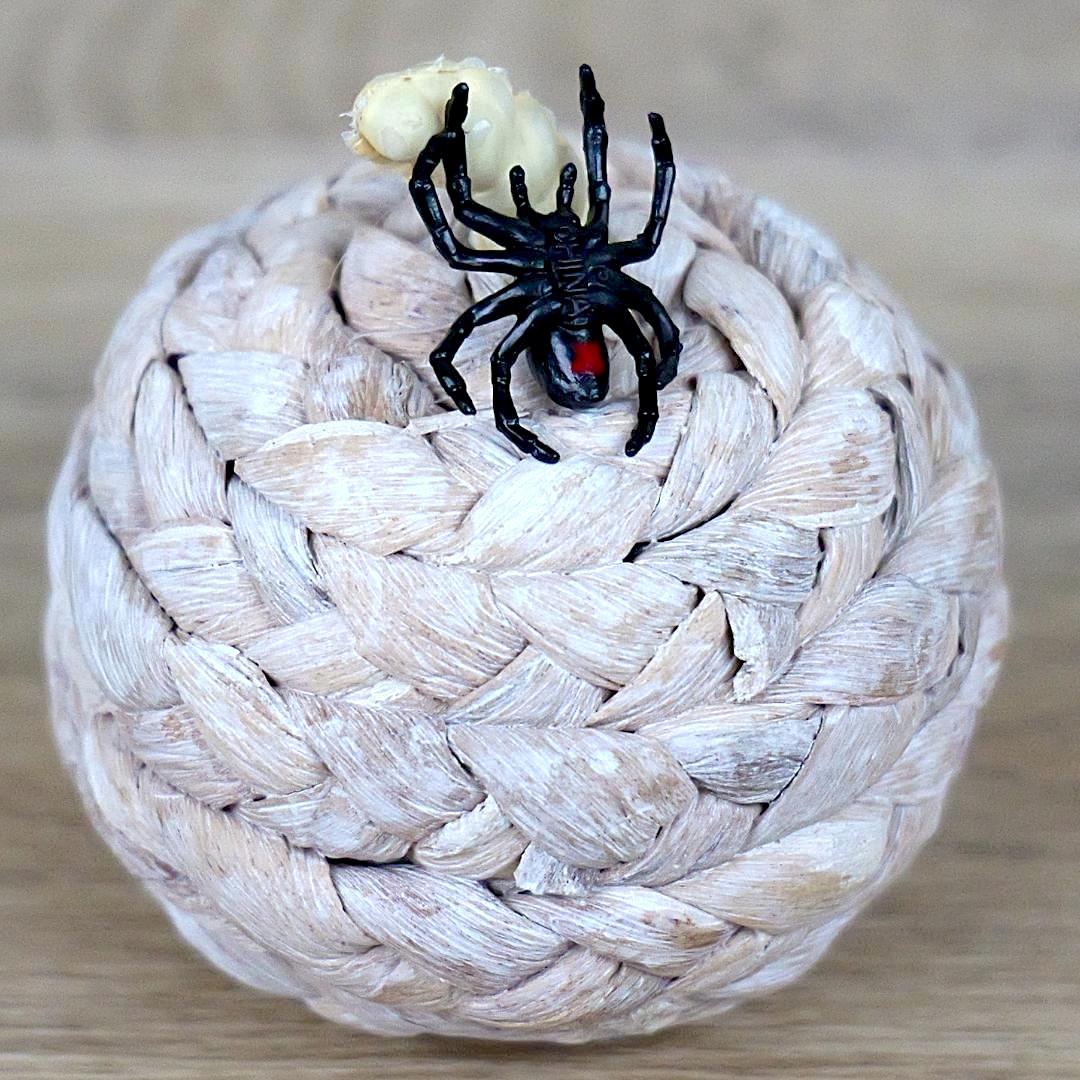 Black Widow Spider Good Luck Minis Figure - Hand Painted & Collectible Miniature Figurine - Safari Ltd