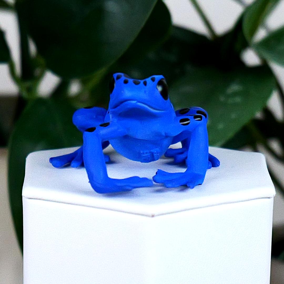 Equatorial Blue Frog Figure - Hand Painted & Collectible Toy - Papo 50175