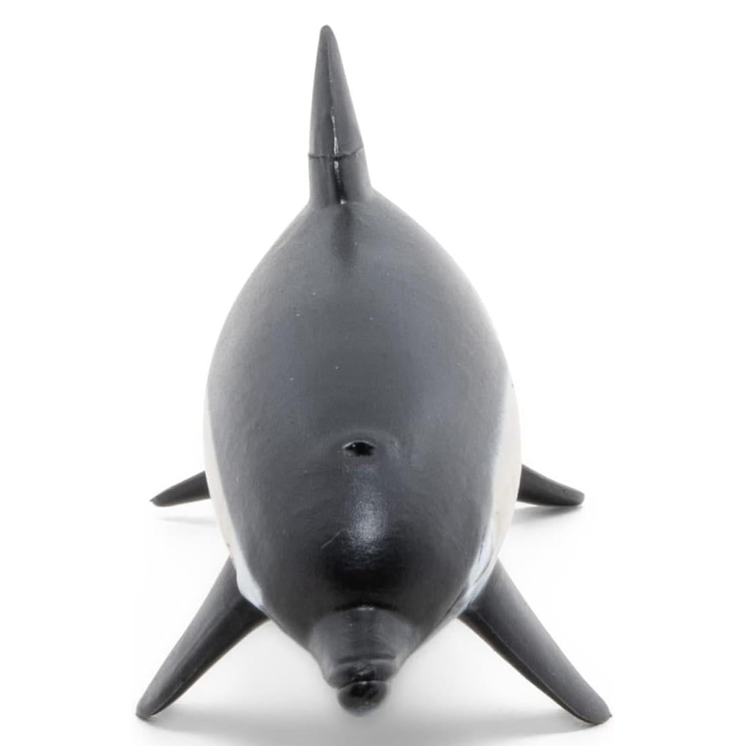 Common Dolphin Sea Life Figure - Hand Painted & Collectible Toy - Papo 56055