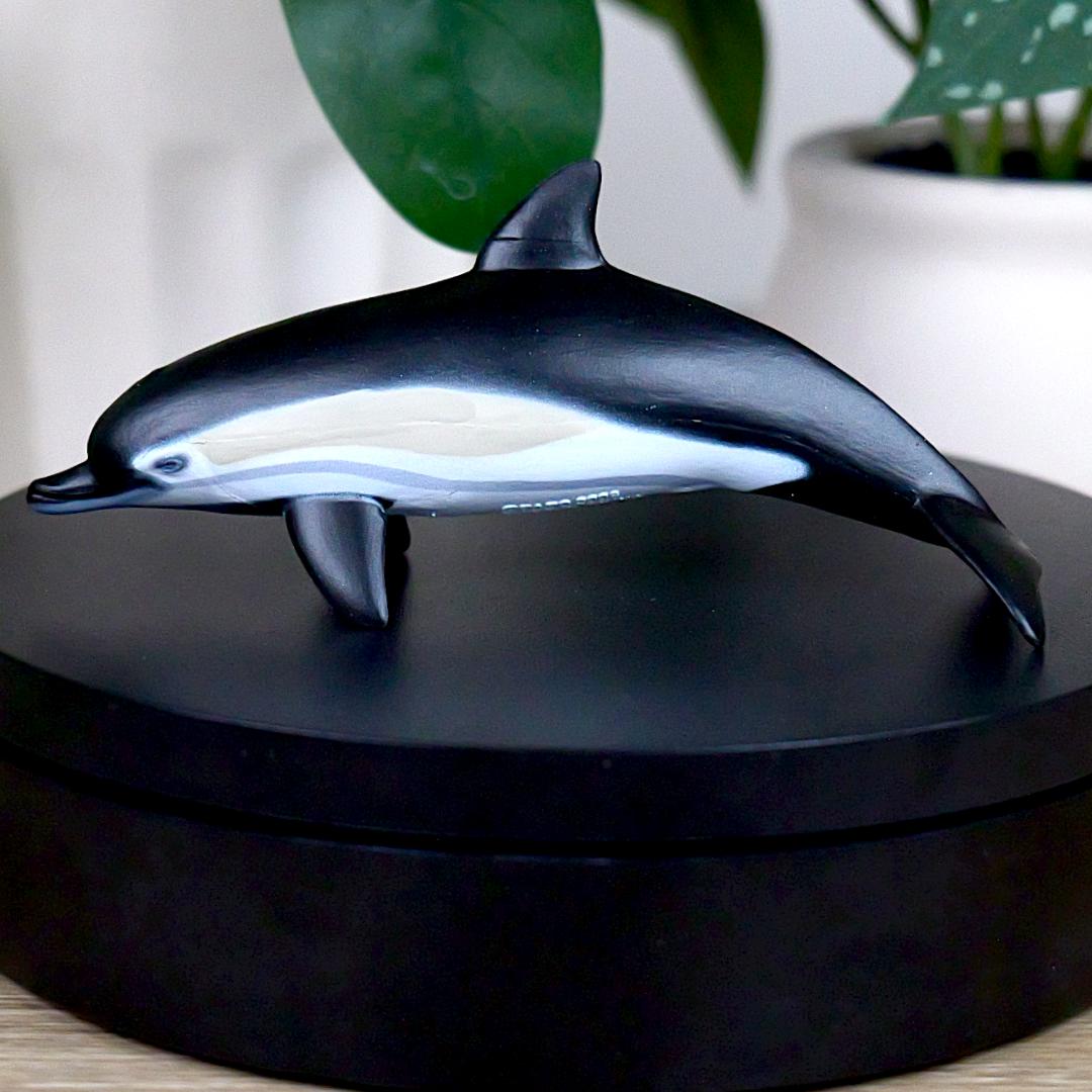 Common Dolphin Sea Life Figure - Hand Painted & Collectible Toy - Papo 56055