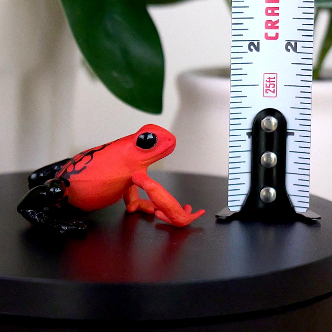 Equatorial Red Frog Figure - Hand Painted & Collectible Toy - Papo 50193