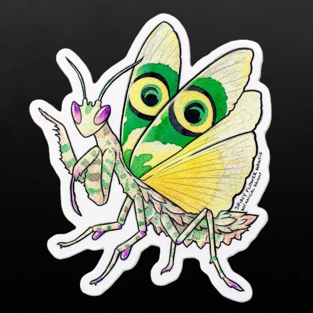 Spiny Flower Praying Mantis Sticker - Waterproof Vinyl Insect and Nature Decal