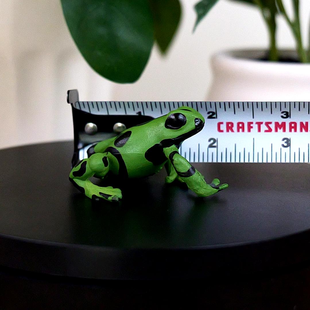 Equatorial Green Frog Figure - Hand Painted & Collectible Toy - Papo 50176