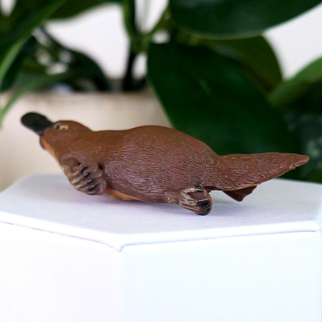 Platypus Animal Figure - Hand Painted & Collectible Nature Toy Figurine - Papo 56011