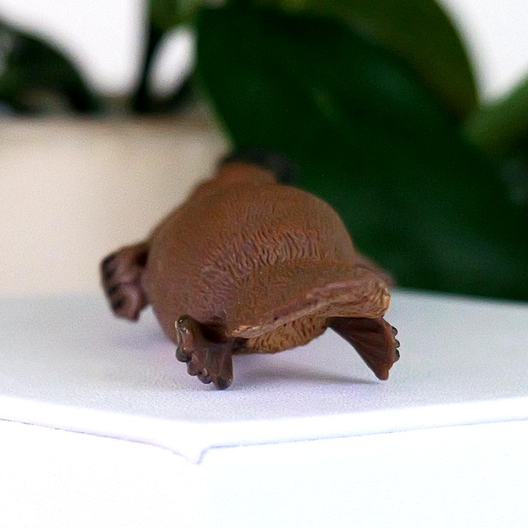 Platypus Animal Figure - Hand Painted & Collectible Nature Toy Figurine - Papo 56011