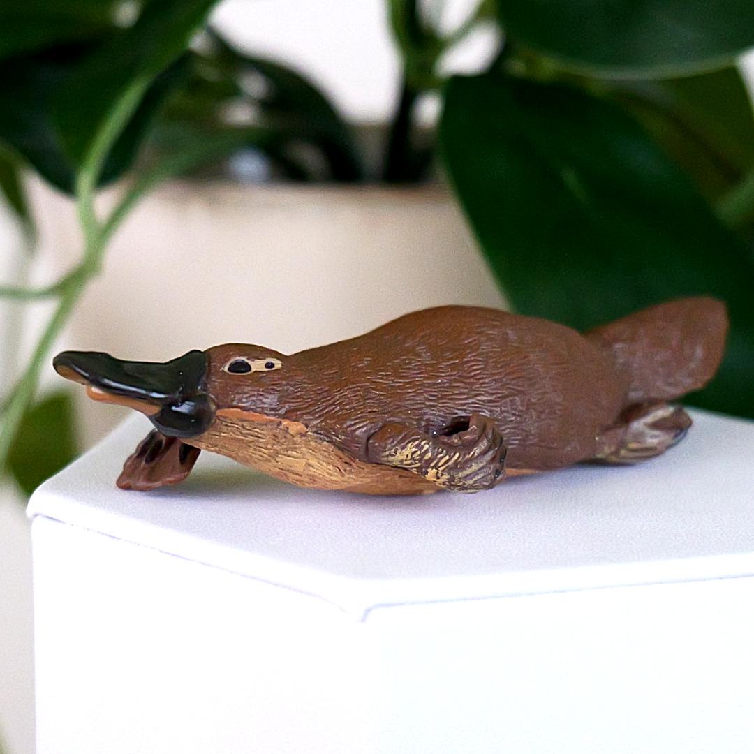Platypus Animal Figure - Hand Painted & Collectible Nature Toy Figurine - Papo 56011