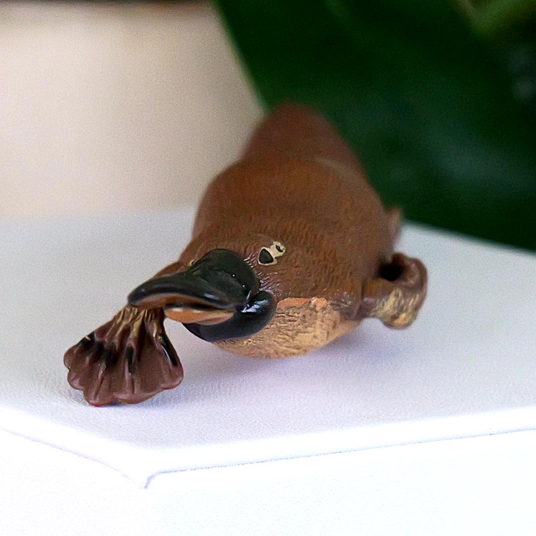 Platypus Animal Figure - Hand Painted & Collectible Nature Toy Figurine - Papo 56011