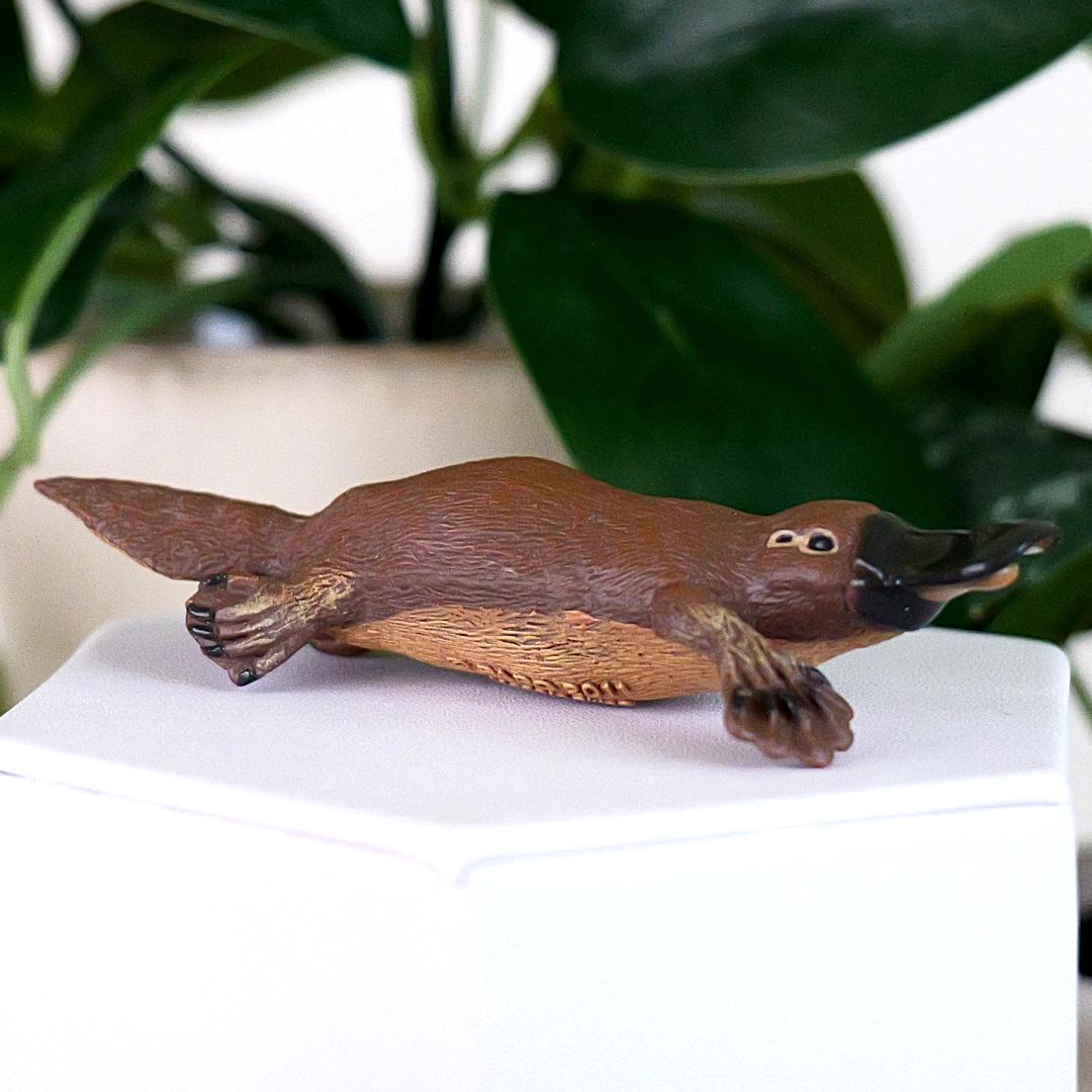 Platypus Animal Figure - Hand Painted & Collectible Nature Toy Figurine - Papo 56011