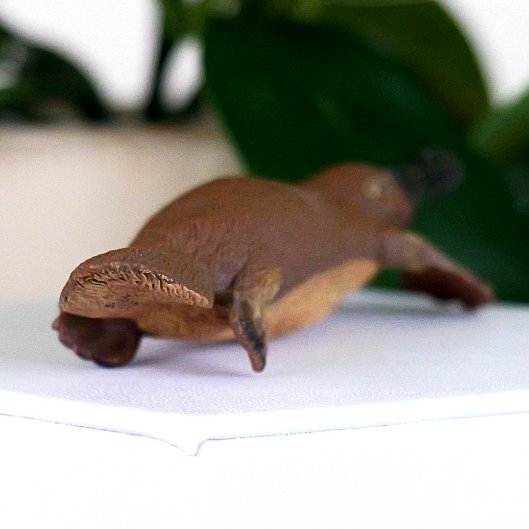 Platypus Animal Figure - Hand Painted & Collectible Nature Toy Figurine - Papo 56011