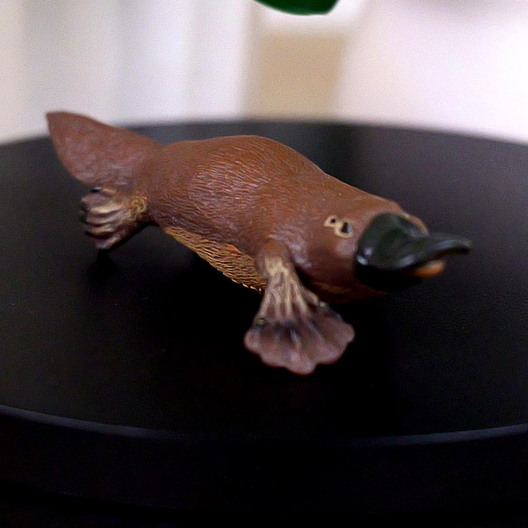 Platypus Animal Figure - Hand Painted & Collectible Nature Toy Figurine - Papo 56011