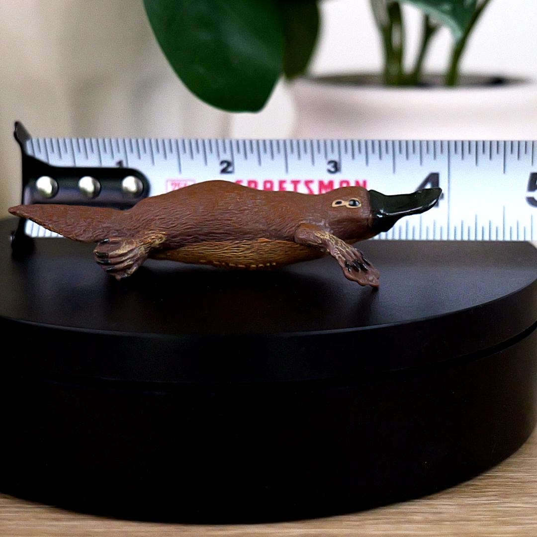Platypus Animal Figure - Hand Painted & Collectible Nature Toy Figurine - Papo 56011