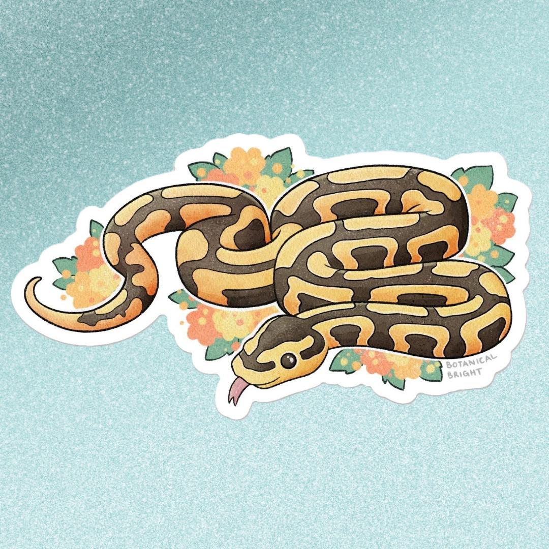 Ball Python Snake Sticker - Waterproof Vinyl Nature & Reptiles Decal