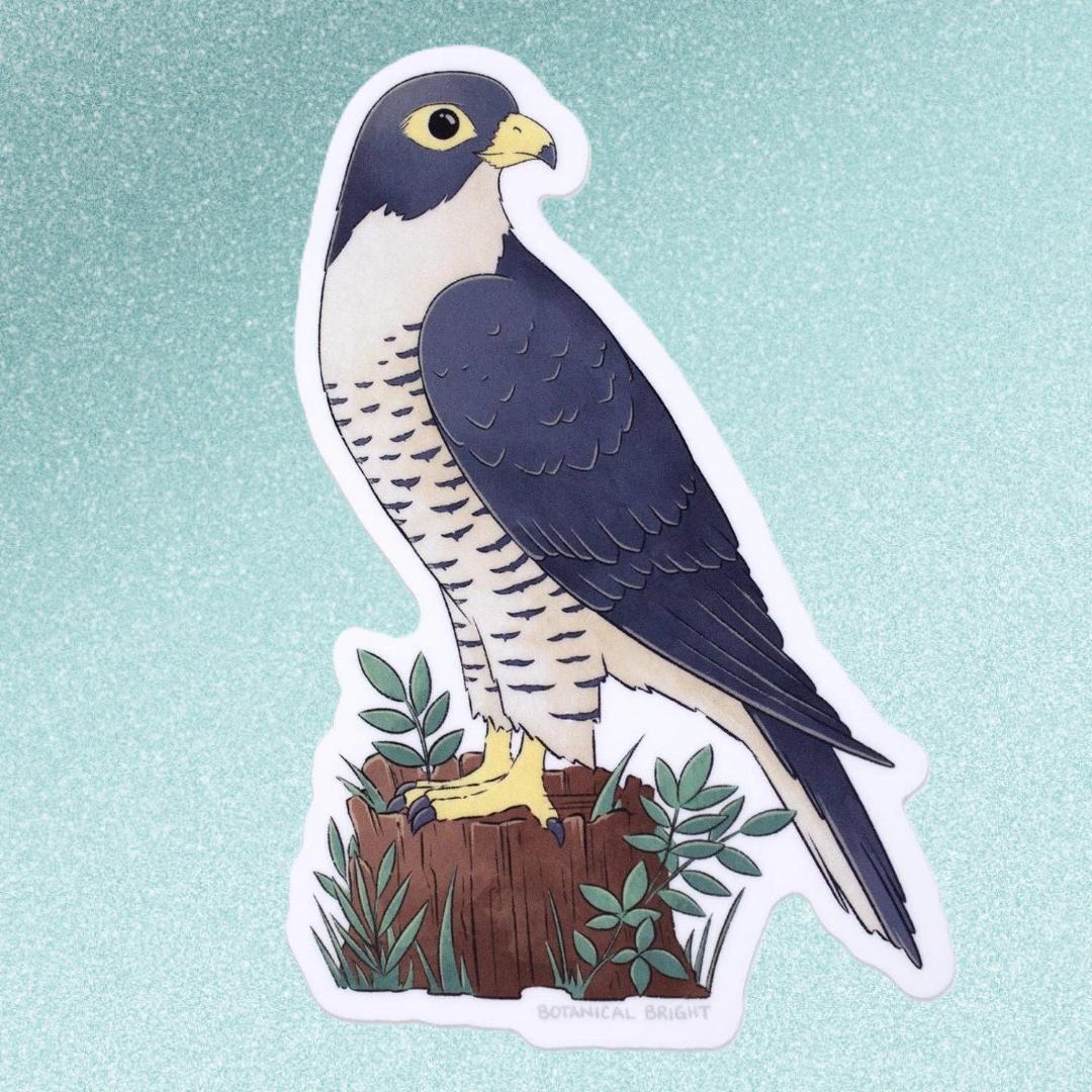 Falcon Bird Sticker - Waterproof Vinyl Nature & Wildlife Decal