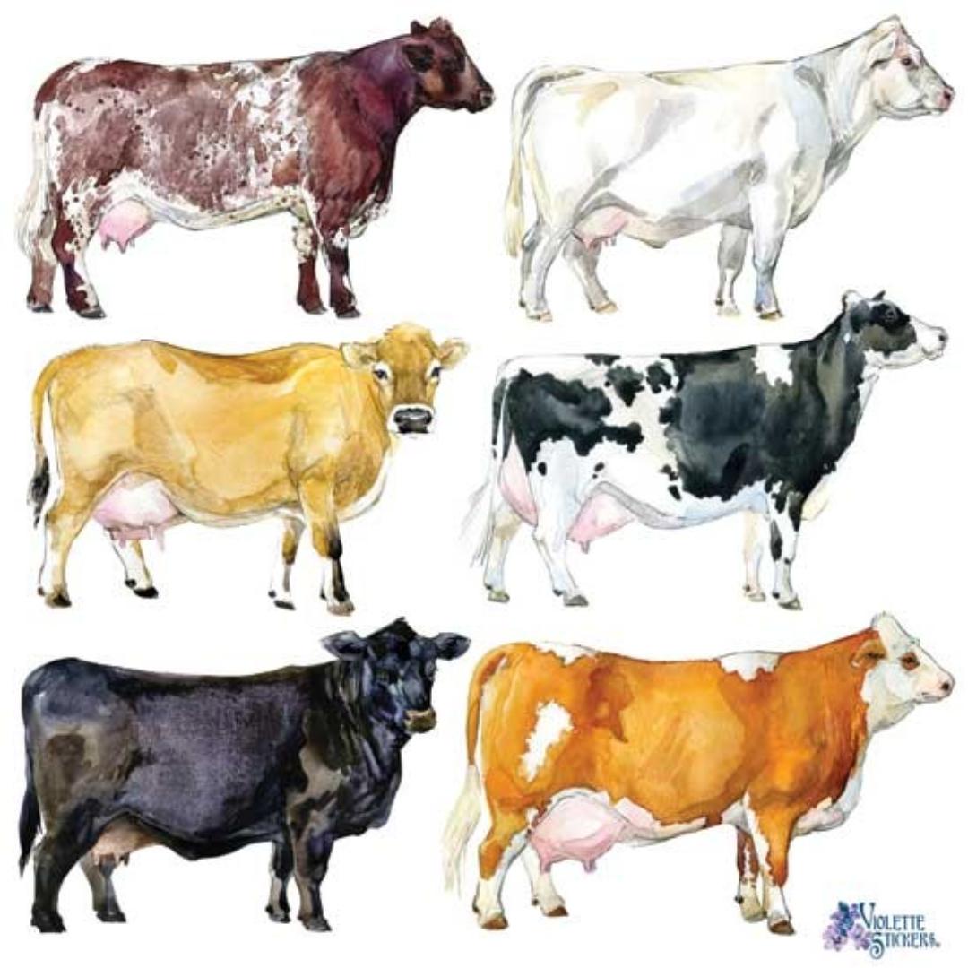 Cow Stickers - Farm Animal Sticker Sheets