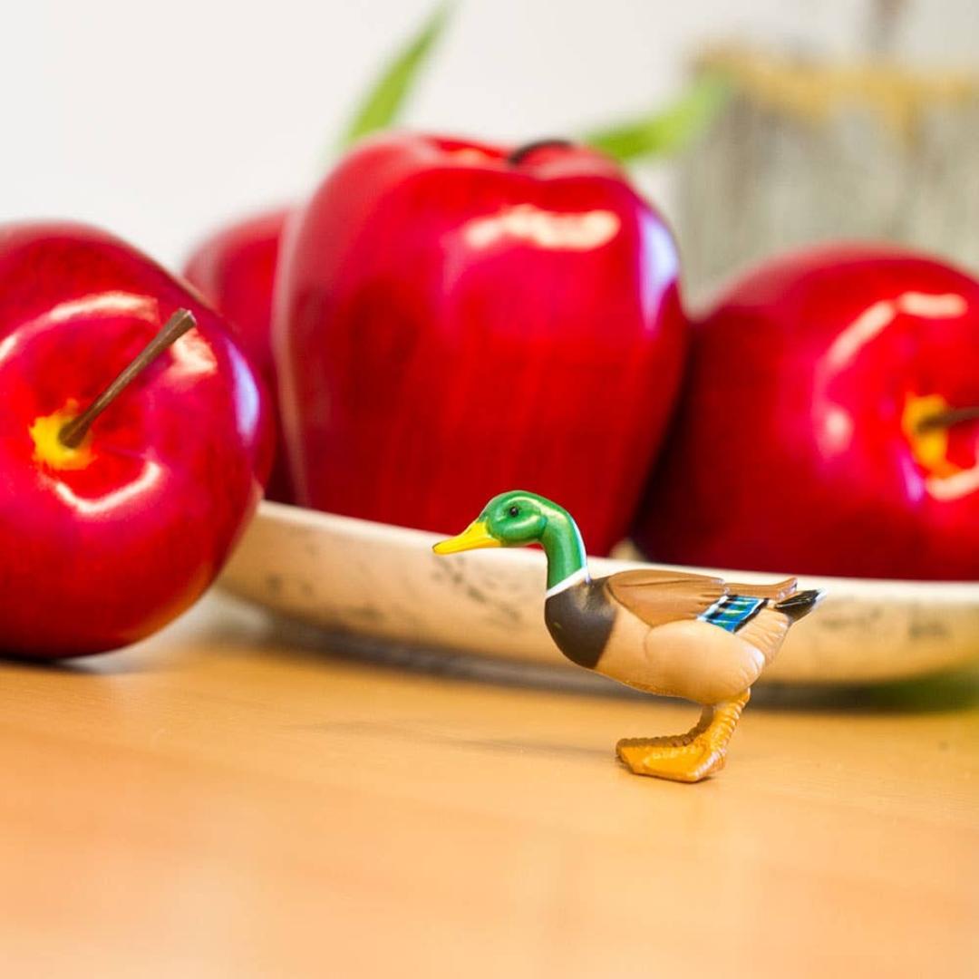 Mallard Duck Figure - Hand Painted Wild Bird Toy Figure - Safari Ltd 233229