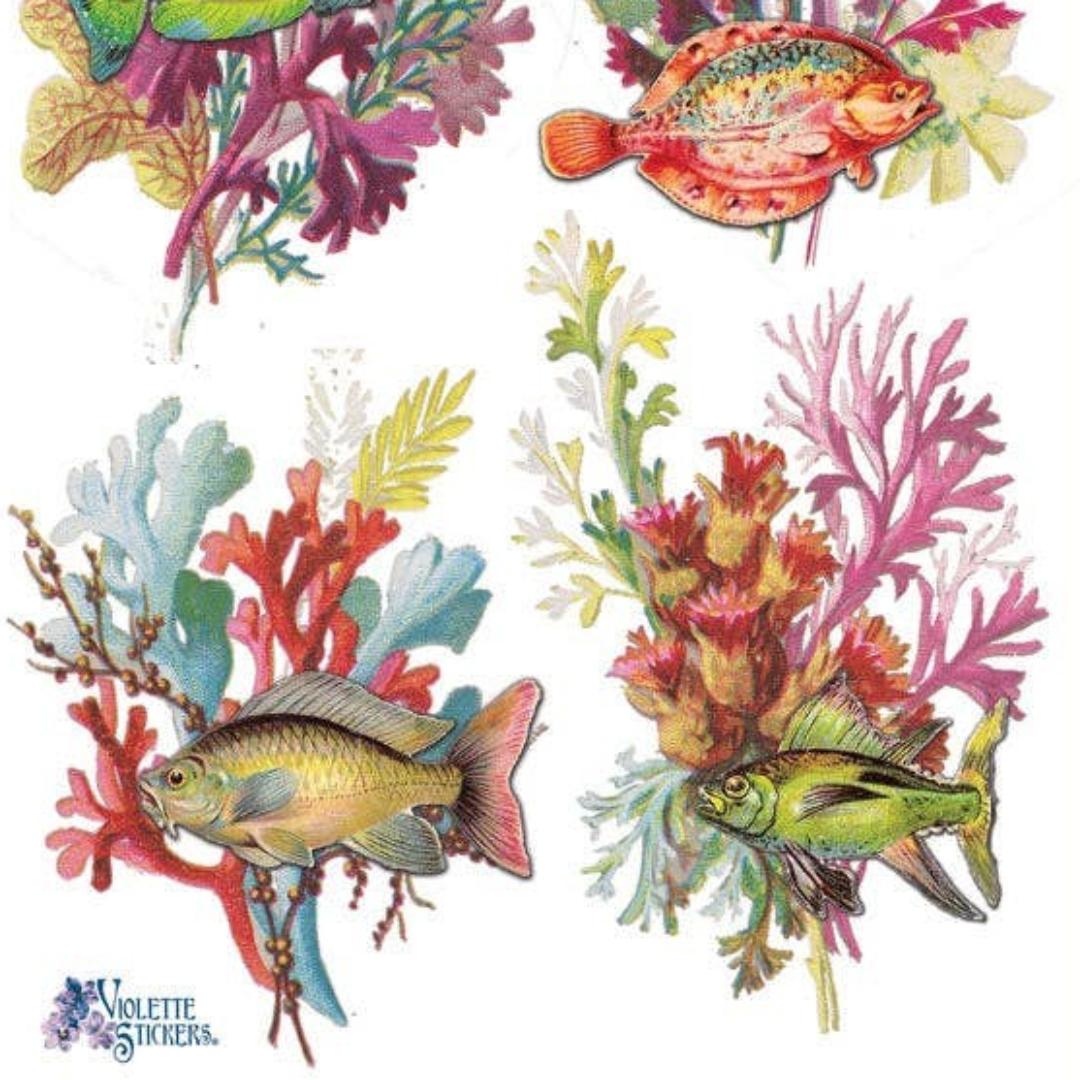Rainbow Reef Fish Stickers - Sea Life, Coral, & Ocean Sticker Sheet