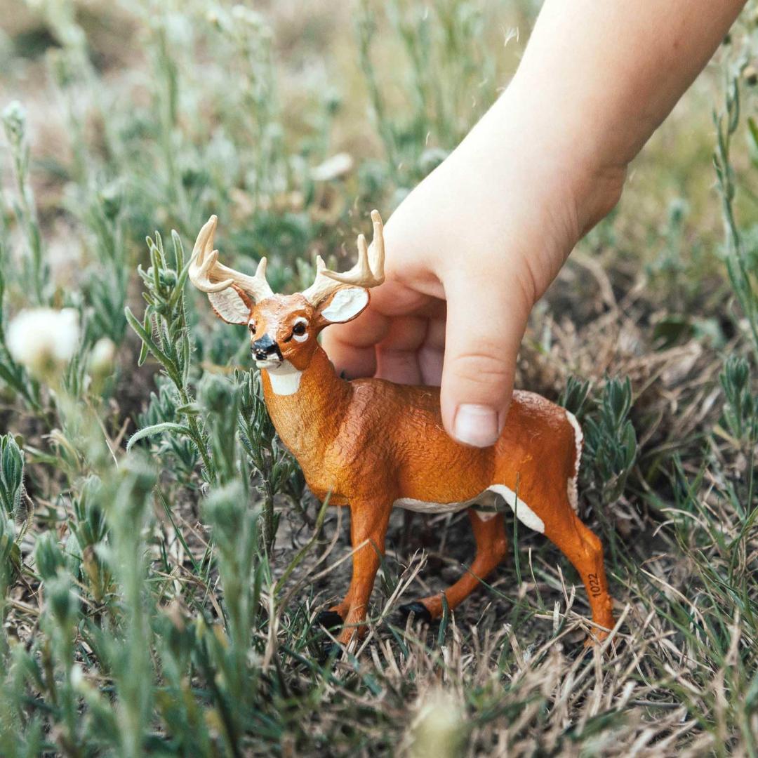 Whitetail Buck Deer Figurine - Hand Painted Wild Animal Toy Figure - Safari Ltd 180029