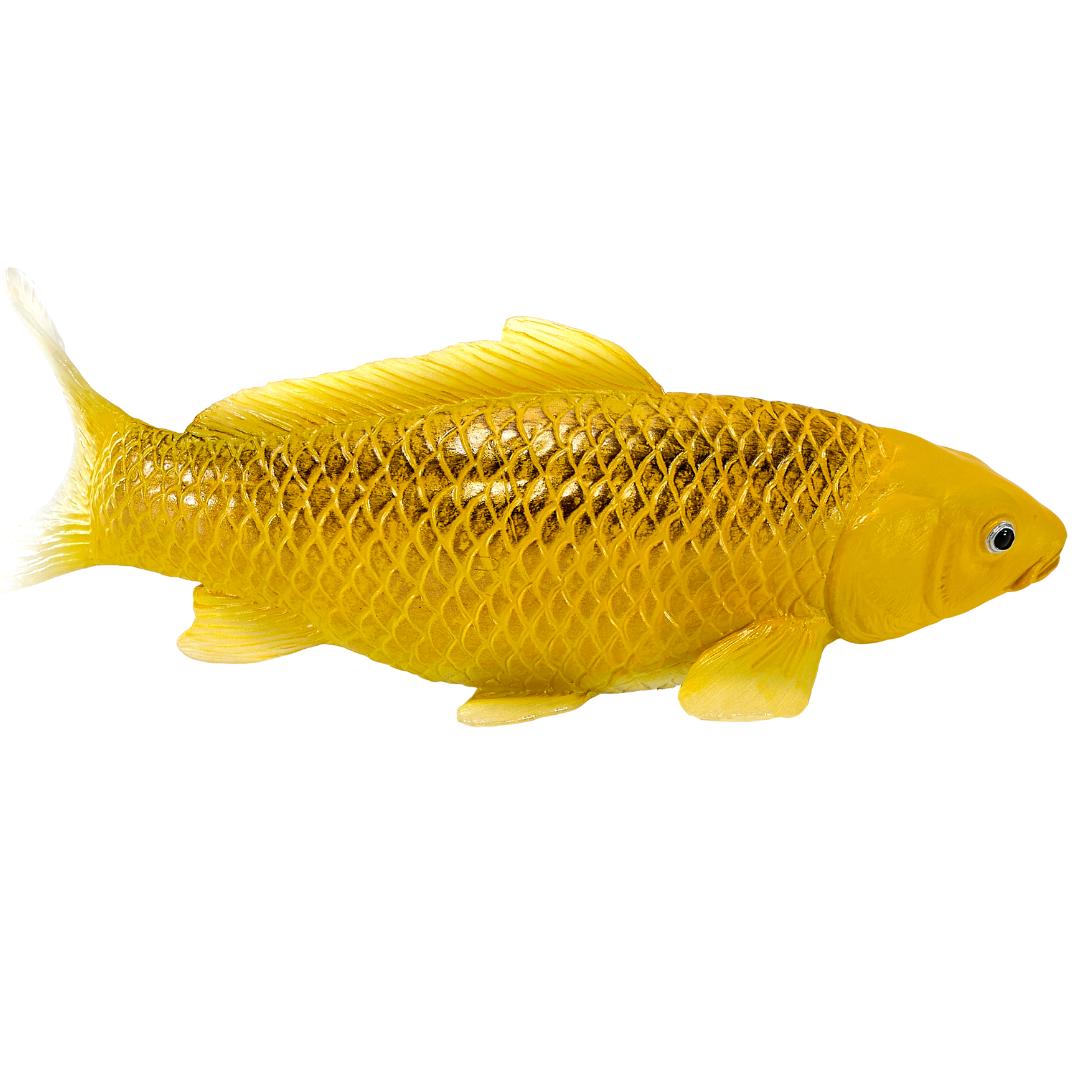 Koi Carp Fish Figurine - Ki Matsuba Koi (Gold & Black) Hand Painted Toy Figure - Mojo